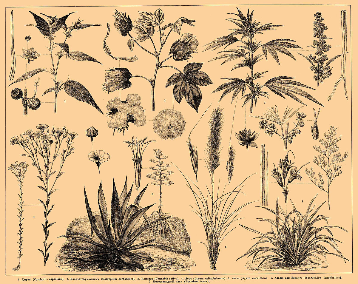 ÐÐ°ÑÑÐ¸Ð½ÐºÐ¸ Ð¿Ð¾ Ð·Ð°Ð¿ÑÐ¾ÑÑ