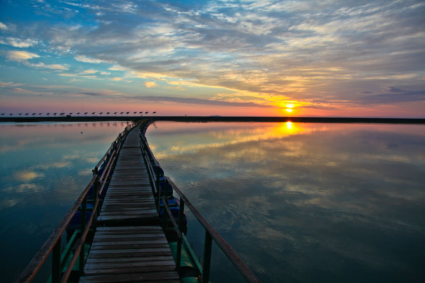 ÐÐ°ÑÑÐ¸Ð½ÐºÐ¸ Ð¿Ð¾ Ð·Ð°Ð¿ÑÐ¾ÑÑ ÐÐ¸Ð´ÑÐ¾Ð»Ð¾Ð³Ð¸Ñ Ð¾Ð·ÐµÑÐ° Ð°Ð»Ð°ÐºÐ¾Ð»Ñ